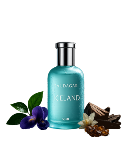 Ice Land